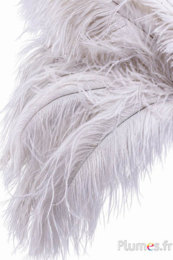Struzzo - 30-40 cm - bianco